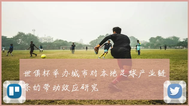 世俱杯举办城市对本地足球产业链条的带动效应研究