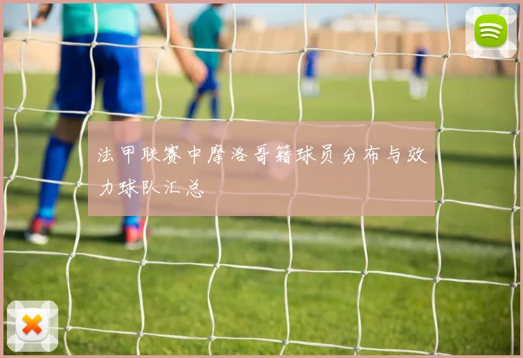 法甲联赛中摩洛哥籍球员分布与效力球队汇总