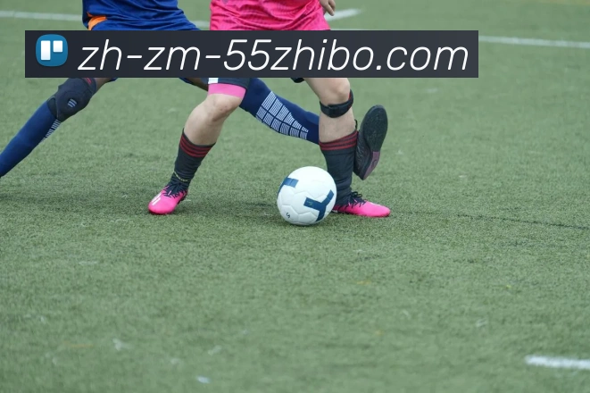 55直播品牌故事