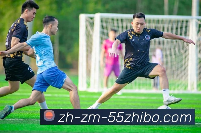 55直播服务体系